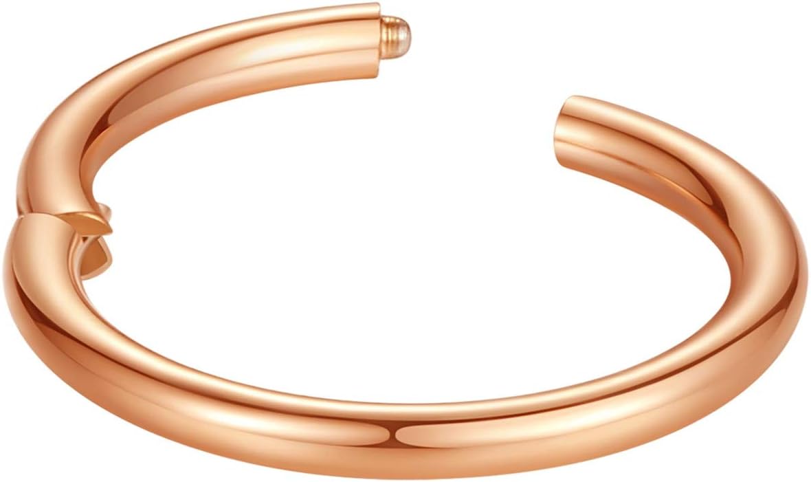 Hypoallergenic Nose Rings 20G 18G 16G 14G 12G 10G 8G 316L Surgical Steel Septum Jewelry Hinged Segment Ring Body Piercing Nose Hoop Lip Rings Nose Helix Cartilage Rook Earrings