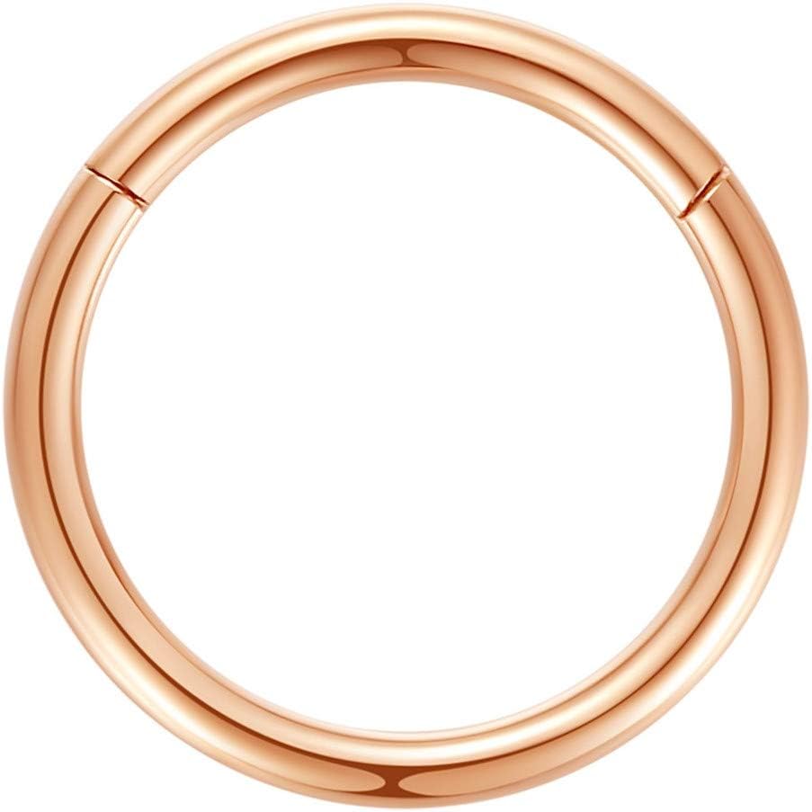 Hypoallergenic Nose Rings 20G 18G 16G 14G 12G 10G 8G 316L Surgical Steel Septum Jewelry Hinged Segment Ring Body Piercing Nose Hoop Lip Rings Nose Helix Cartilage Rook Earrings