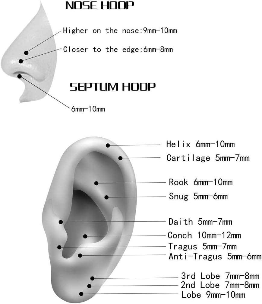 Hypoallergenic Nose Rings 20G 18G 16G 14G 12G 10G 8G 316L Surgical Steel Septum Jewelry Hinged Segment Ring Body Piercing Nose Hoop Lip Rings Nose Helix Cartilage Rook Earrings
