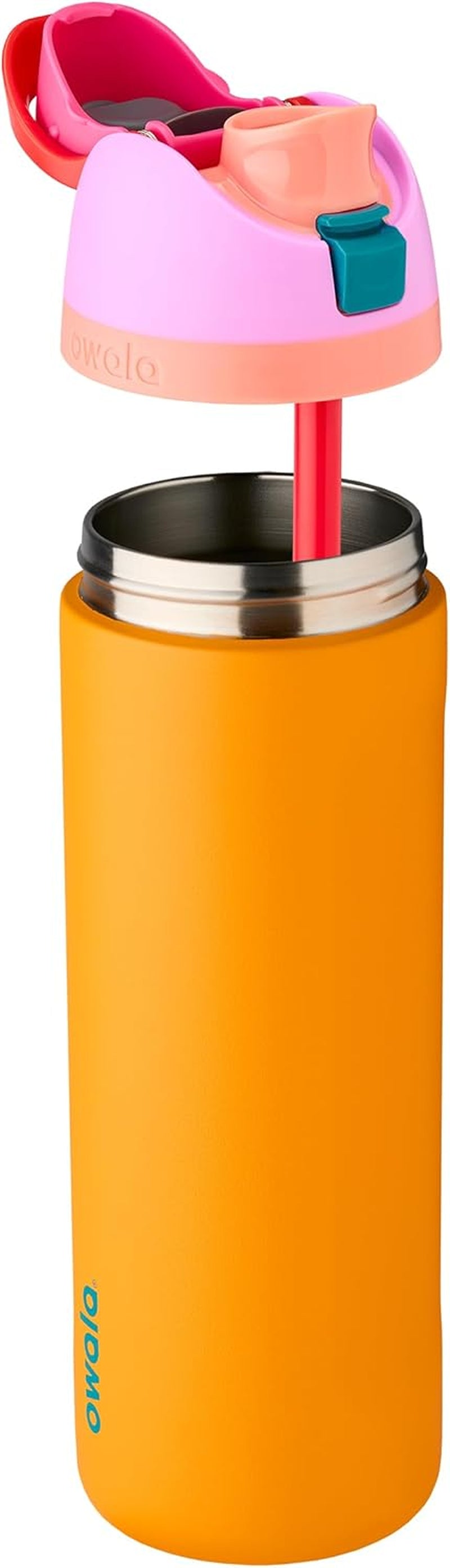 Freesip Insulated Stainless Steel Water Bottle with Straw for Sports, Travel, and School Bpa-Free Sports Water Bottle, 24 Oz, Tropical