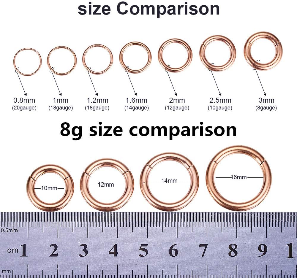 Hypoallergenic Nose Rings 20G 18G 16G 14G 12G 10G 8G 316L Surgical Steel Septum Jewelry Hinged Segment Ring Body Piercing Nose Hoop Lip Rings Nose Helix Cartilage Rook Earrings