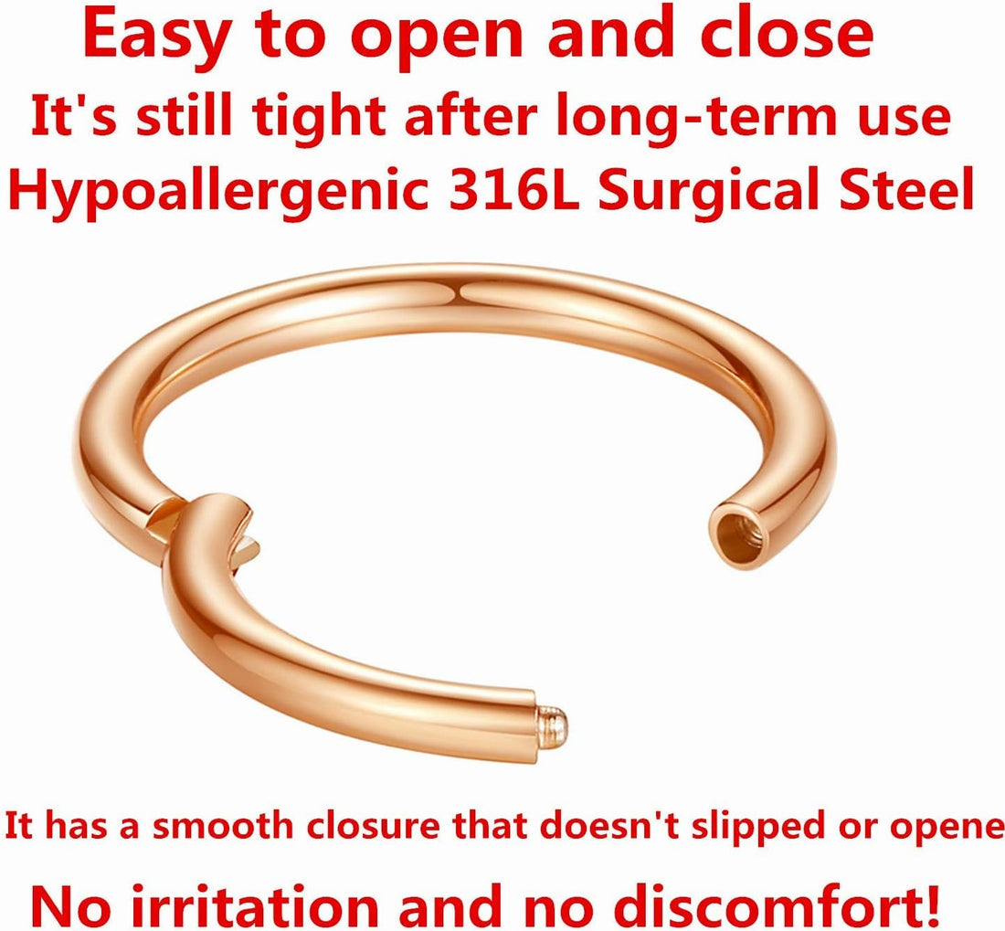 Hypoallergenic Nose Rings 20G 18G 16G 14G 12G 10G 8G 316L Surgical Steel Septum Jewelry Hinged Segment Ring Body Piercing Nose Hoop Lip Rings Nose Helix Cartilage Rook Earrings