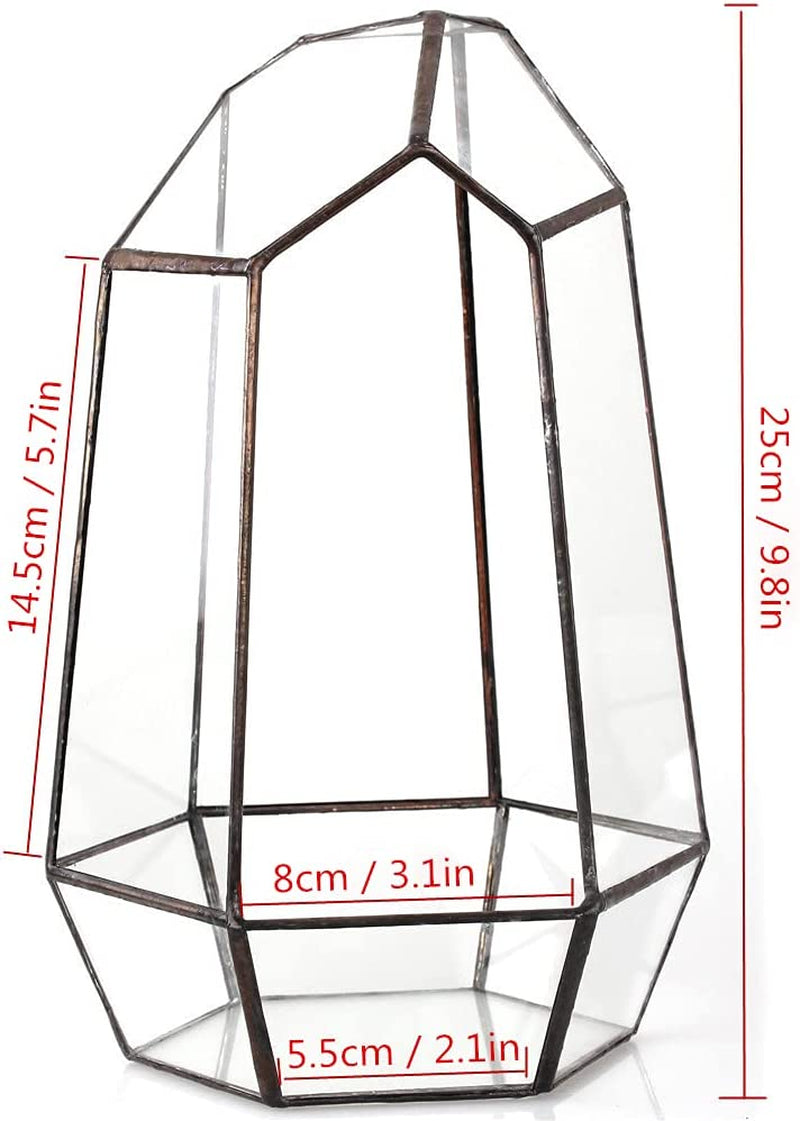 Geometric Glass Terrarium Planter for Succulent, Small Cacti, Black Irregular Opened Container Pot, Indoor Home Garden Office Tabletop Decor, 6.5" X 5.7" X 9.8" (No Plants, No Door)